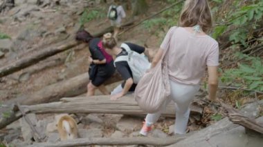 İnsanlar dağdan aşağı iniyor, devrilmiş ağaçların üzerinden geçiyor, gezginler şelaleye gidiyor. Ağır çekim. Yüksek kalite 4k görüntü