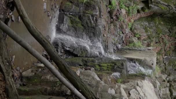 Cachoeira Bonita Nas Montanhas Cárpatos Ucrânia Câmera Lenta Vista Vertical — Vídeo de Stock