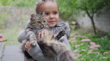 Güzel Asyalı kız parkta güneşli İran kedisi tutuyor. Yüksek kalite 4k görüntü