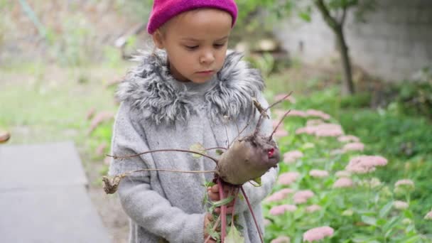 かわいい 美しい 田舎の 小さな女の子 彼女の手でビートルートを見て 秋の庭 スローモーション — ストック動画