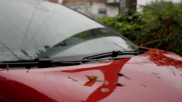 Желтые Листья Падают Красный Автомобиль Осенние Деревья Отражаются Красном Автомобильном — стоковое видео