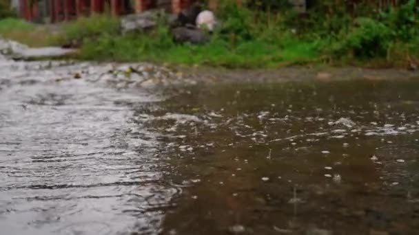 Víz Folyik Fröcsköl Heves Esőzés Után Rengeteg Víz Lassított Felvétel — Stock videók