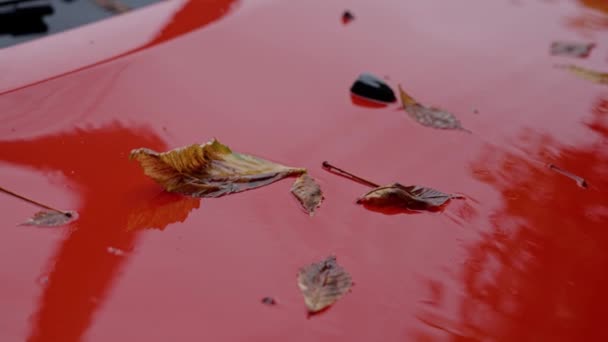 Folhas Amarelas Caem Carro Vermelho Árvores Outono Refletem Capuz Carro — Vídeo de Stock