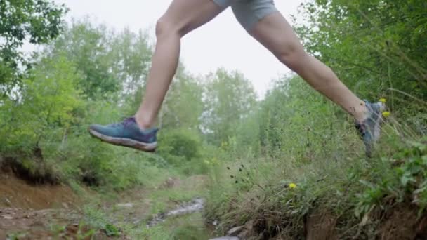Dişi Bacaklar Dağda Taşların Üzerinde Akan Nehir Suyundan Geçiyor Güneşli — Stok video