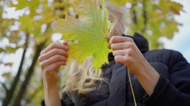 Dişi Eller Solmuş Kuru Yapraklar Güneş Işığında Dokunuyor Bir Kadın — Stok video
