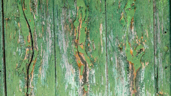 Текстура Деревянной Двери Окрашенной Зеленый Цвет Временем Возрасте Трещинами Идеально — стоковое фото