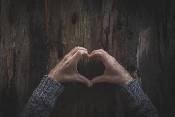 Två Mans Händer Bildar Ett Hjärta Barken Ett Träd Som — Stockfoto
