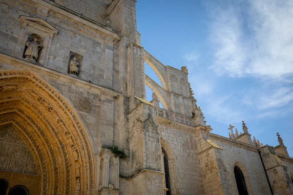 Πλευρική Πρόσοψη Του Καθεδρικού Ναού Της Palencia Ισπανία Γοτθικό Στυλ — Φωτογραφία Αρχείου