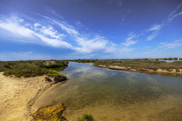 View of one of the transparent pools of the Regional Park of Las Salinas de San Pedro del Pinatar, in the Region of Murcia, Spain