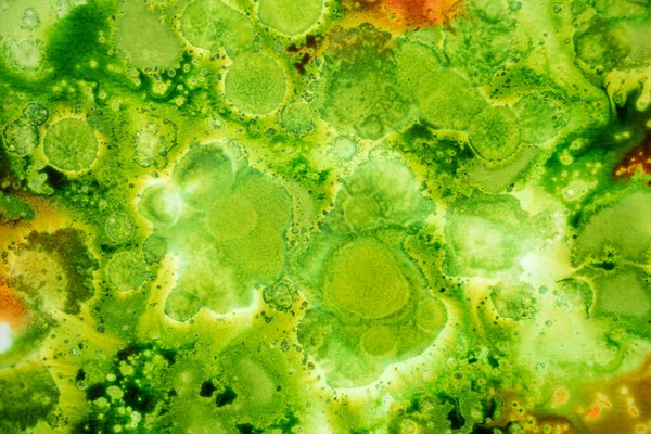 Textura Orgânica Feita Com Aquarela Líquida Verde Laranja Papel Branco — Fotografia de Stock