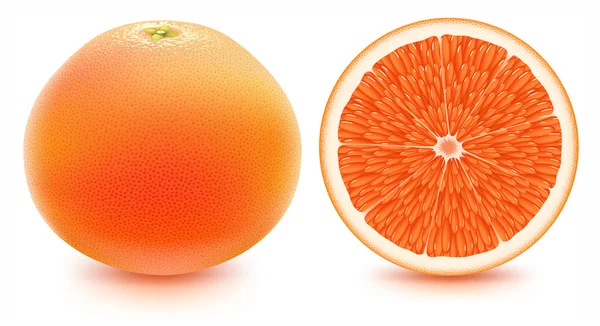 Grapefruit — Stockový vektor