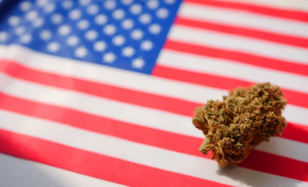 Amerikan bayrağının üzerinde esrar tomurcukları vardı. Tıbbi marihuana yasallaştırması. Eğlence amaçlı uyuşturucu yasası