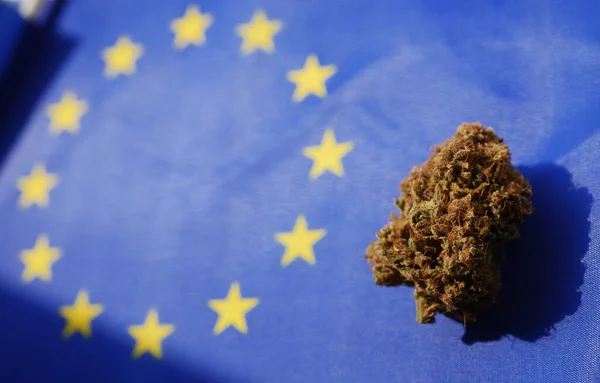 Avrupa bayrağında esrar tomurcukları vardı. Yasallaştırma kavramı. 