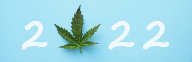 Kenevir yaprağı üst görüşlü 2022. Mutlu yeni yıl afişleri. Marihuana yasallaştırma