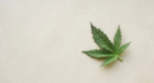 Blurry Cannabis Lövfana Uppfattat Utrymme Alternativ Örtmedicin Koncept Ögonvårdsprodukter — Stockfoto