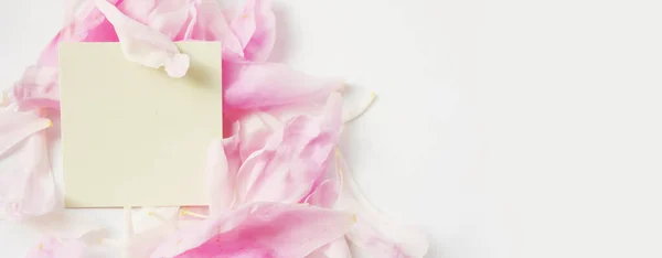 Tag Mock Pink Flower Petals Greeting Card Banner Organic Products — Fotografia de Stock