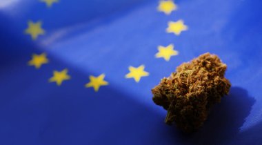 Marihuana yasallaştırma kavramı. Avrupa Birliği bayrağında esrar tomurcuğu yatıyordu. 