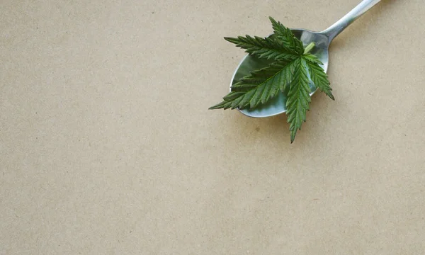 Cannabis Leaf Lay Spoon Medical Marijuana Concept Copy Space Cbd — Fotografia de Stock