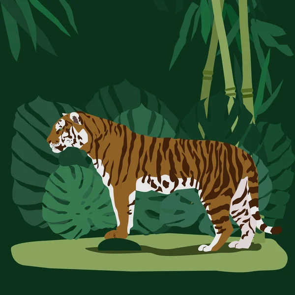 Striped Asian Tiger Bamboo Thickets Monstera Leaves Vector Illustration Colored — 图库矢量图片