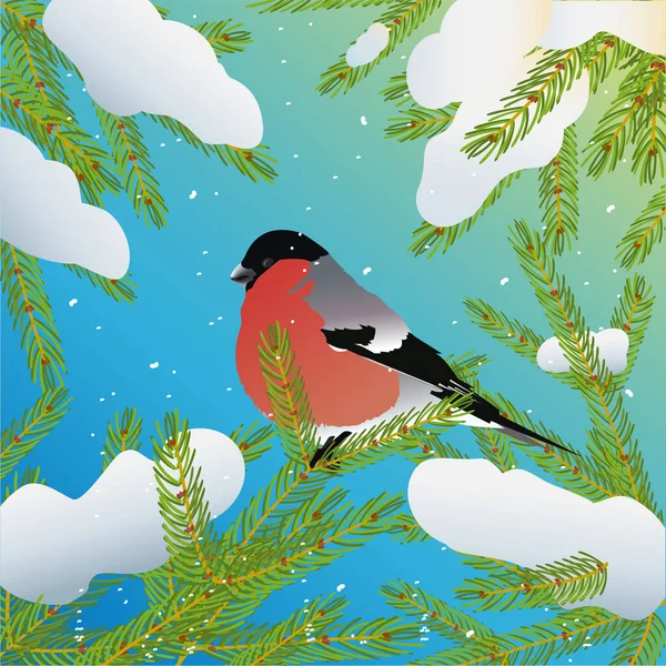 Bullfinch Zasněžené Větvi Vánočního Stromku Lehkém Denním Sněžení — Stockový vektor