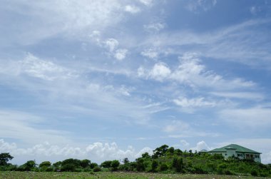 İnce bulut katmanlarıyla kaplı mavi gökyüzü yeryüzünün ince bitkilerinin üzerinde asılı.. 