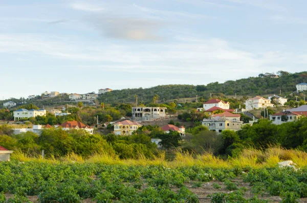 Luz Sol Manhã Brilha Sobre Casas Vegetação Paisagem — Fotografia de Stock