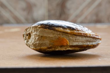 Bu bir mamey sapote tohumunun yumuşak tarafının yakın çekimi..