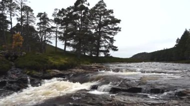 Dee Nehri 'nin İskoçya Cairngorms' daki görüntüleri.