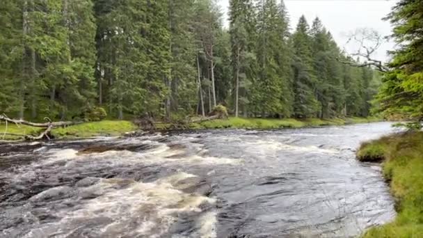 Une Vidéo Panoramique Rivière Dee Dans Les Highlands Écossais — Video