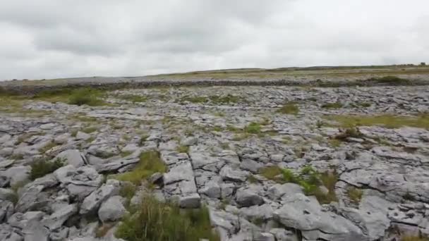 Aerial Video Revealing Burren Landscape West Coast Ireland — Stok video