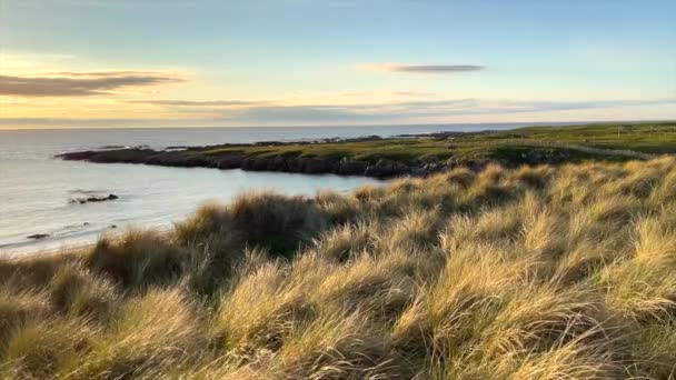 Footage Dune Grass Blowing Wind Beach Donegal Ireland Sunset — Stockvideo