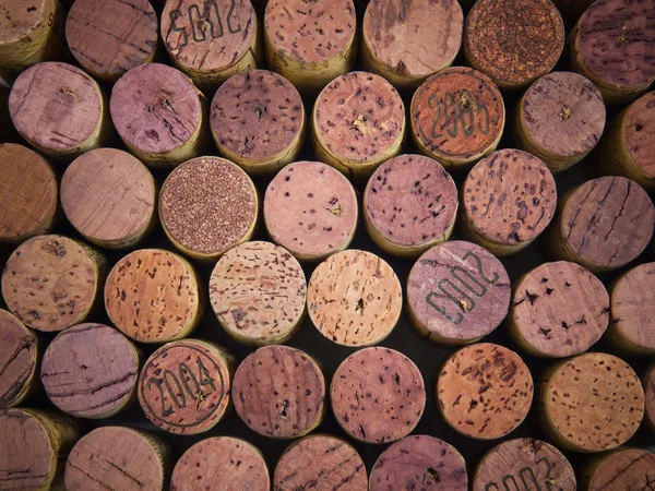 Şarap mantarları — Stok fotoğraf