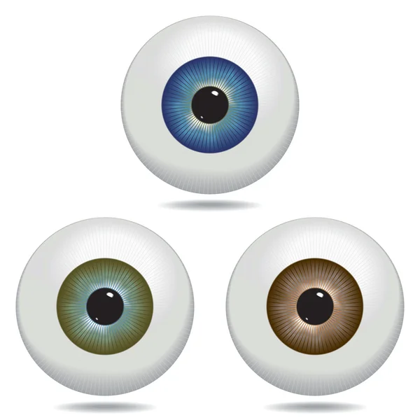 Eyeball — Stock Vector