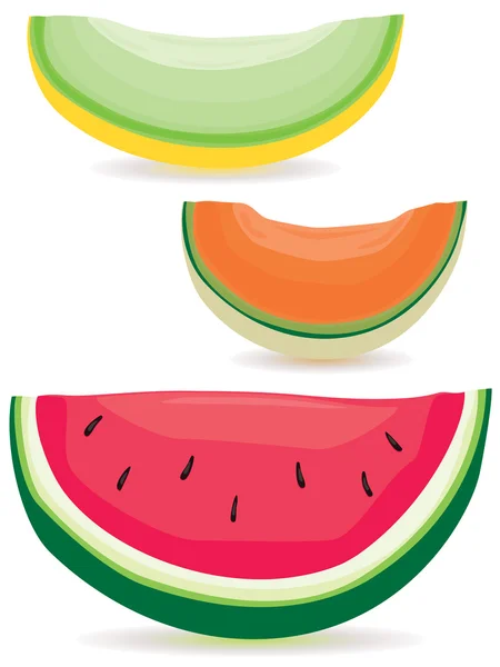 Melon slice variety — Stock Vector