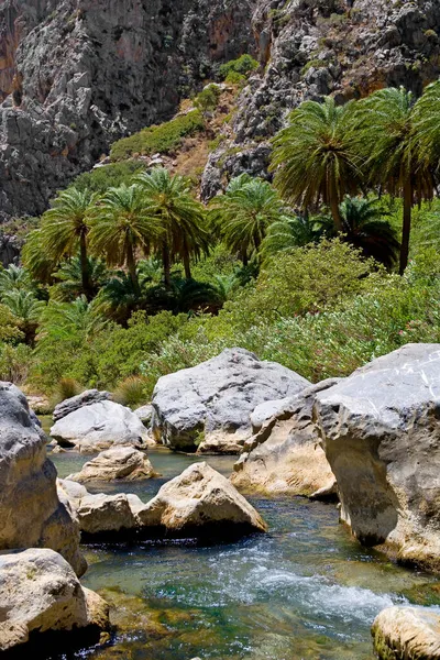 Kourtaliotiko Gorge Iraklion Heraklion Kreta Grekland Europa — Stockfoto