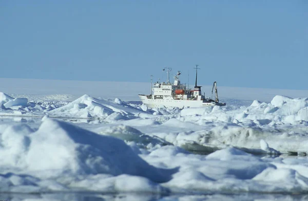 Rompehielos Multanovskiy Mar Polar Spitsbergen Svalbard Ártico Noruega — Foto de Stock