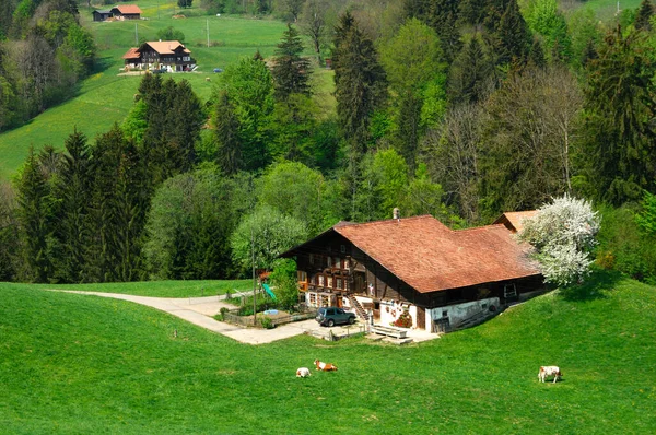 Simmental Farm House Daerstetten Simmental Švýcarsko — Stock fotografie