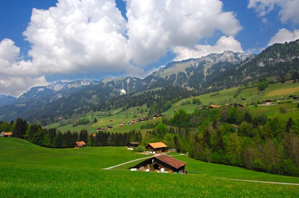 Pre Alpine Landschap Van Simmental Met Zwitserse Boerderij Zwitserland — Stockfoto