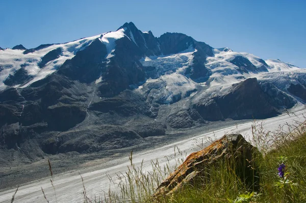 Großglockner Und Gletscher Pasterze Nationalpark Hohe Tauern Kärnten Österreich — Stockfoto