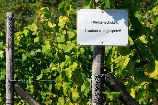 Warnschild Schädlingsbekämpfung Trauben Werden Versprüht — Stockfoto