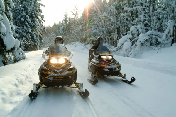 Can Canada Quebec Snowmobile Οδήγηση Κατά Διάρκεια Της Χειμερινής Περιοχής Εικόνα Αρχείου