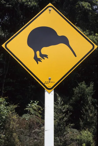 Kiwi Apterygidae Traffic Sign New Zealand — 스톡 사진