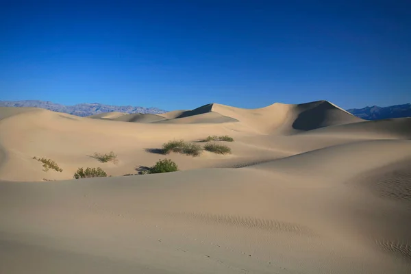 Dunas Areia Com Ondulações Mesquite Flats Death Valley Califórnia Eua — Fotografia de Stock