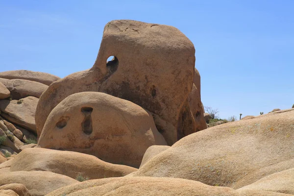 Skull Rock Geologisk Formation Joshua Tree National Park Kalifornien Usa — Stockfoto