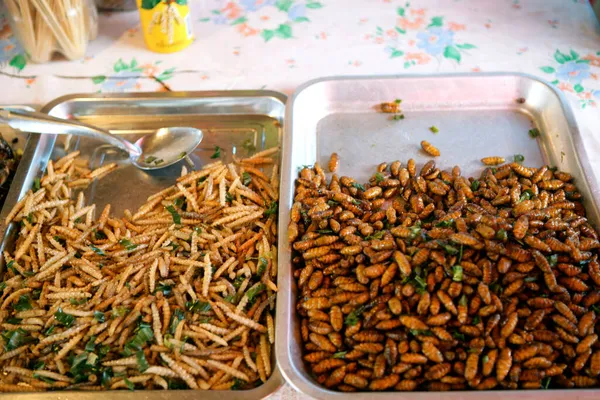 fried insects, food stall, Krabi, Thailand, Asia