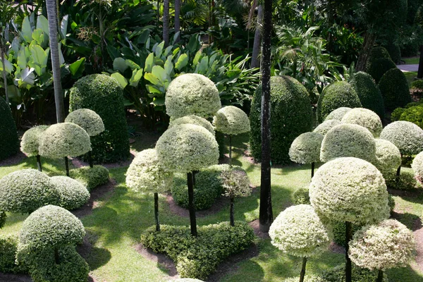 Jardim Tropical Nong Nooch Village Sião Tailândia Ásia — Fotografia de Stock