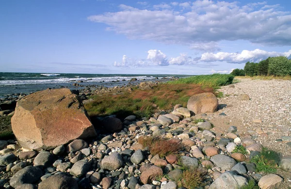 Wybrzeże Morza Bałtyckiego Panga Pank Wyspa Saaremaa Estonia — Zdjęcie stockowe