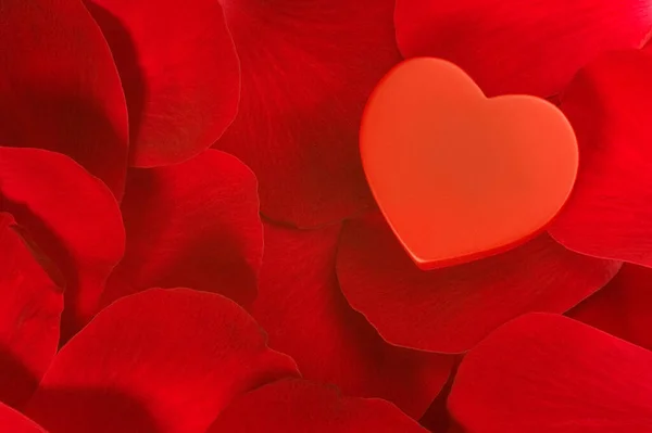 Coração Folha Rosa — Fotografia de Stock