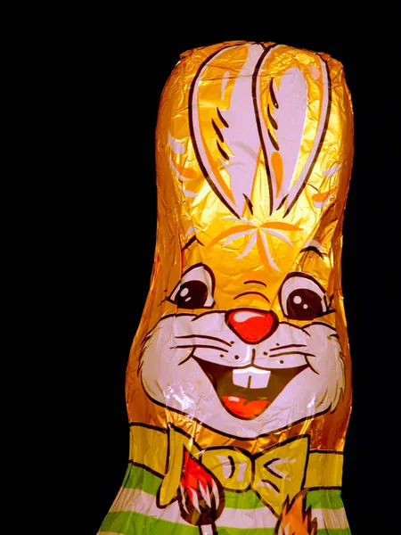 Портрет Великоднього Кролика Шоколаду Перед Чорним Тлом — стокове фото