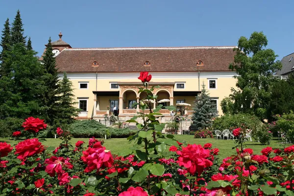 Château Weikersdorf Jardin Roses Rosarium Doblhoffpark Baden Basse Autriche Autriche — Photo